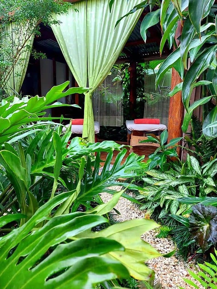 Camillas de masaje con cortinas verdes entre plantas tropicales